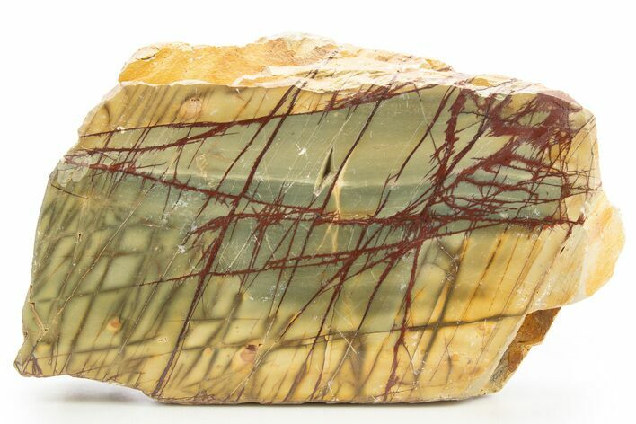 Polished Cherry Creek Jasper - China #318957